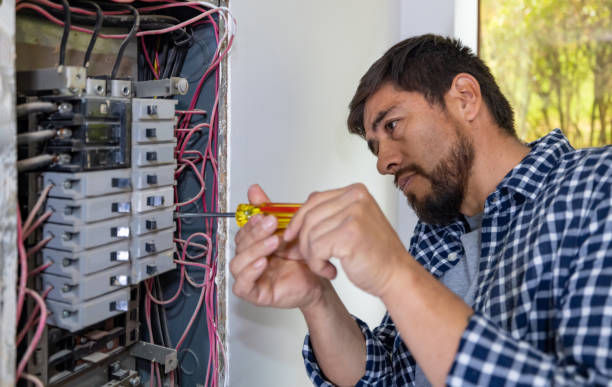 Best Electric Panel Repair  in Hudson Oaks, TX
